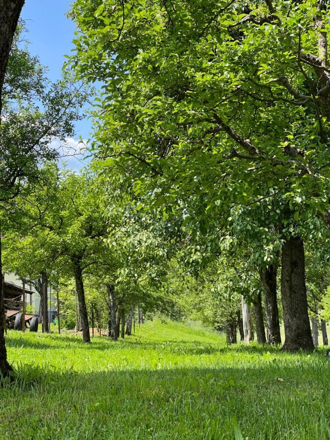 Ferienwohnung Mahar Feistritz im Rosental Esterno foto